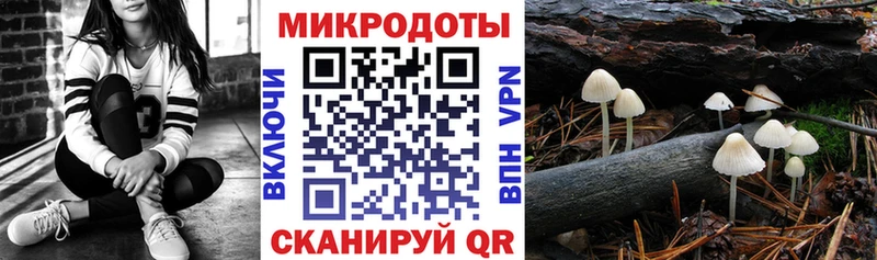 Галлюциногенные грибы GOLDEN TEACHER  цены   Боровск 